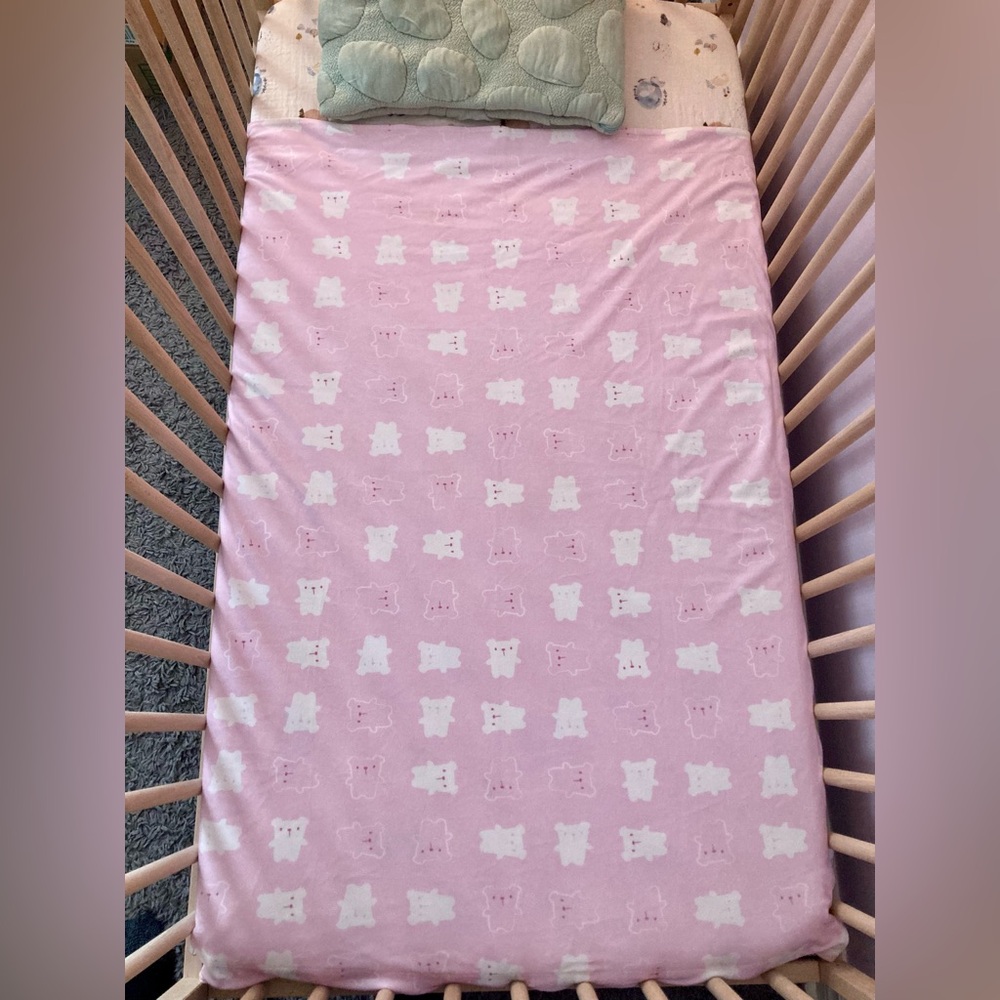 🇨🇦 Perlim Pinpin Teddy Bear Blanket